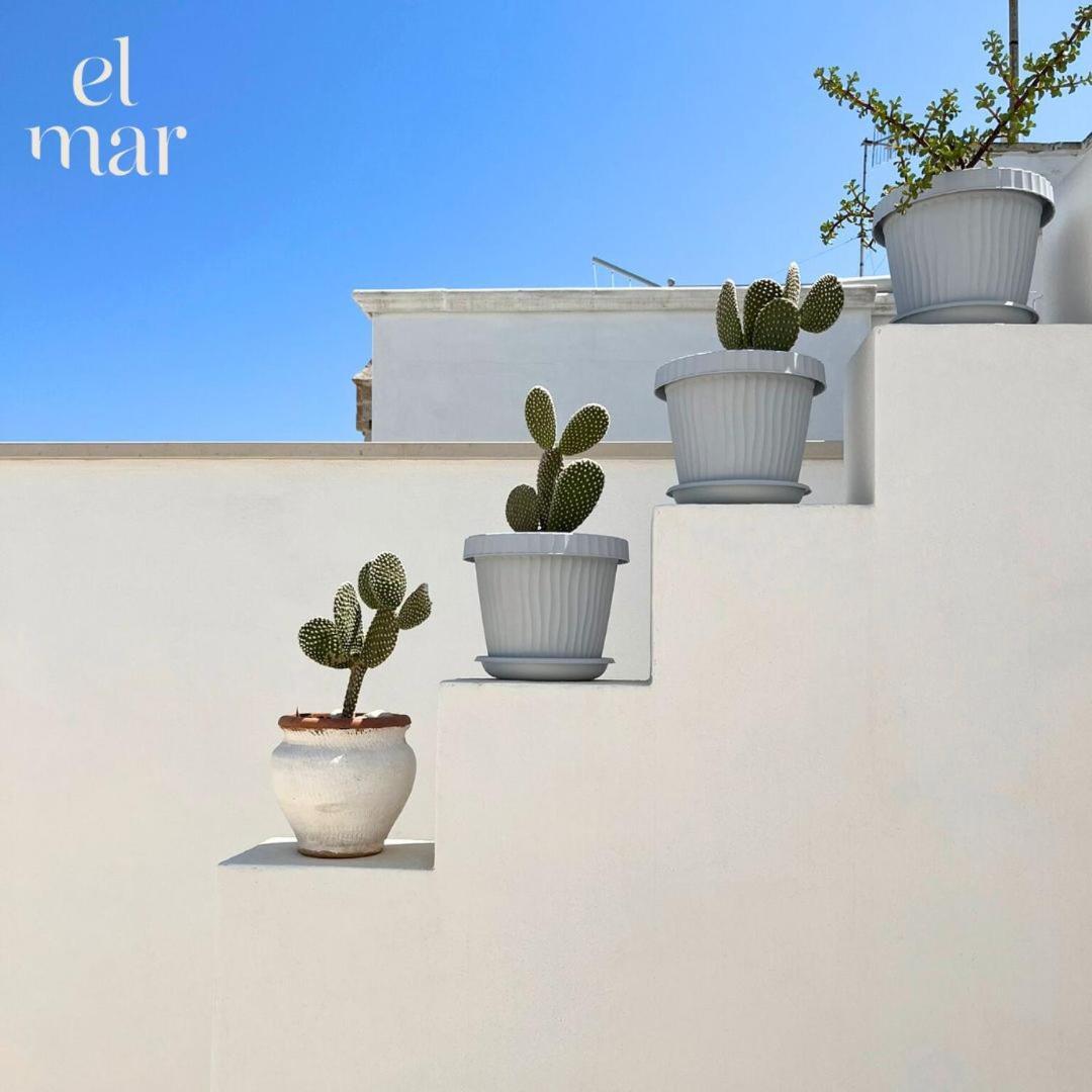 El-Mar Locazione Turistica House With Exclusive Terrace Daire Polignano a Mare Dış mekan fotoğraf
