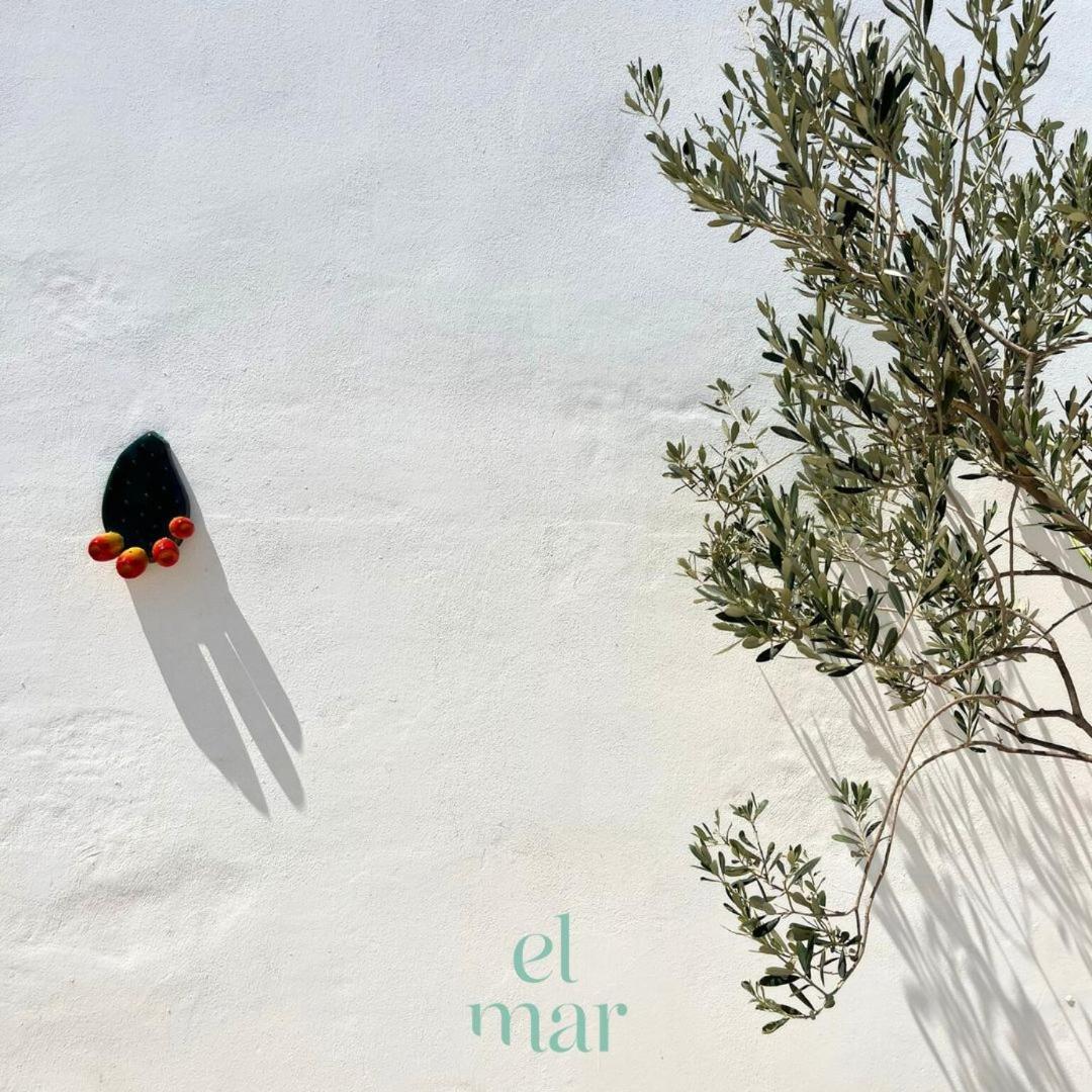 El-Mar Locazione Turistica House With Exclusive Terrace Daire Polignano a Mare Dış mekan fotoğraf