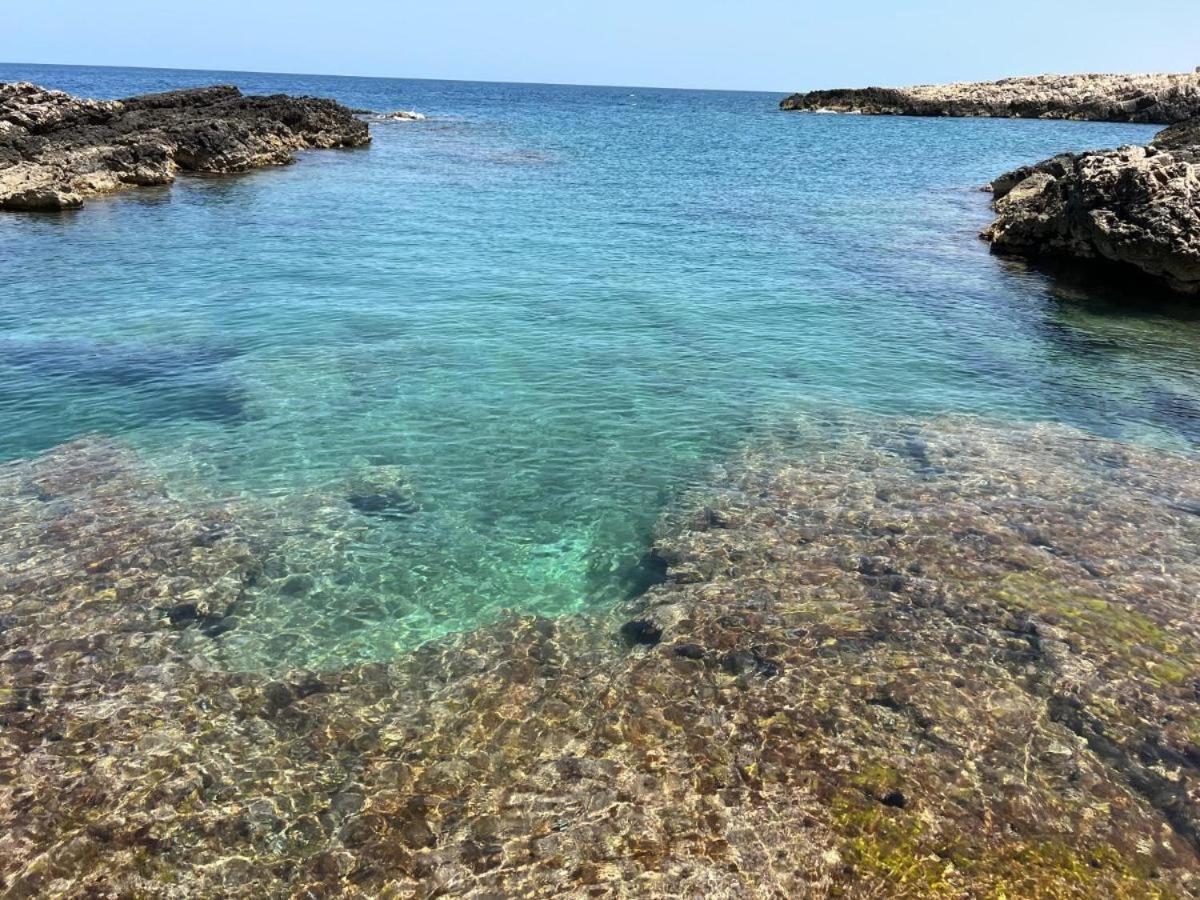 El-Mar Locazione Turistica House With Exclusive Terrace Daire Polignano a Mare Dış mekan fotoğraf